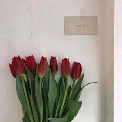 澳博在线官网娱乐游戏